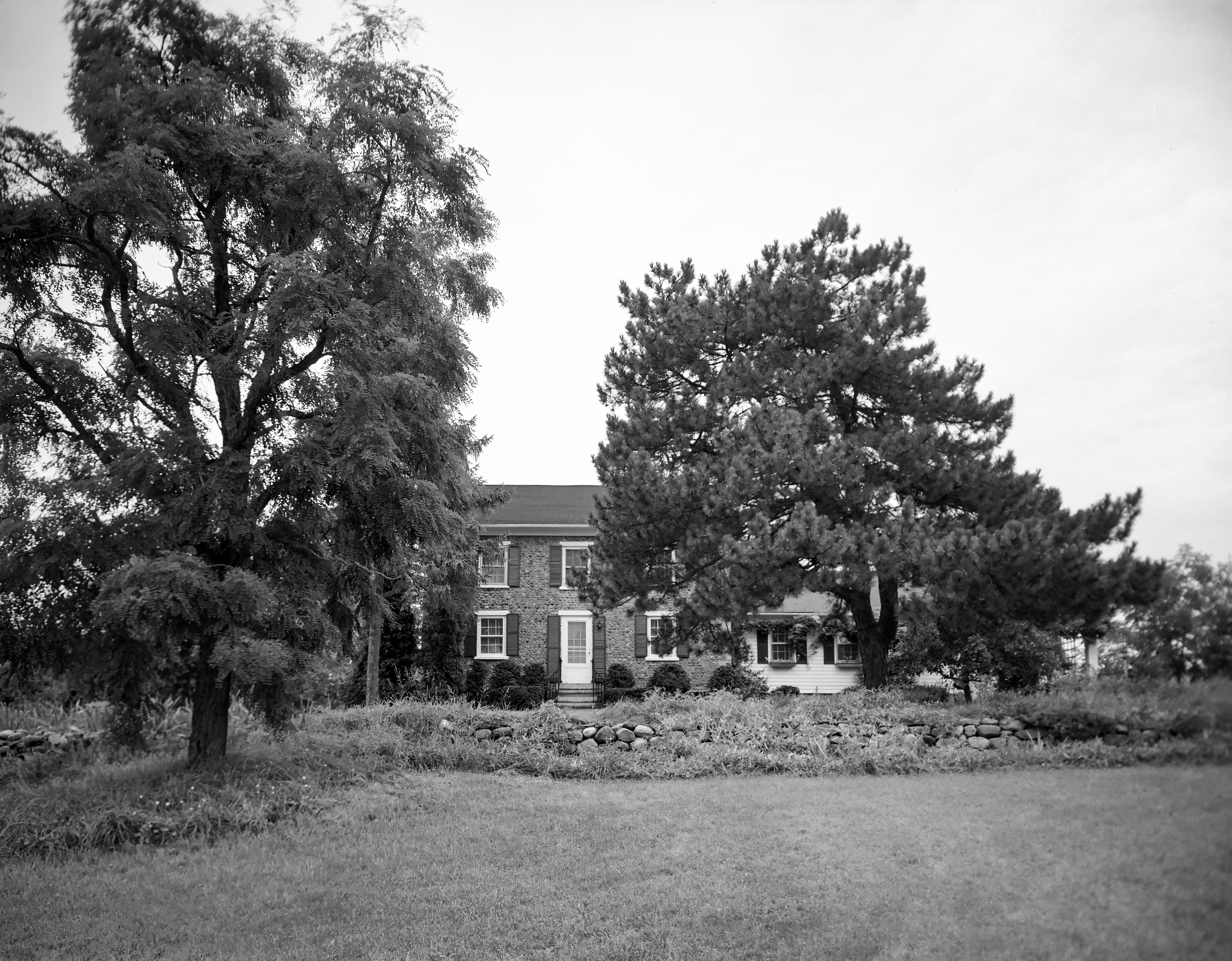 GP Wayne Galen Gal-8 1-2 N